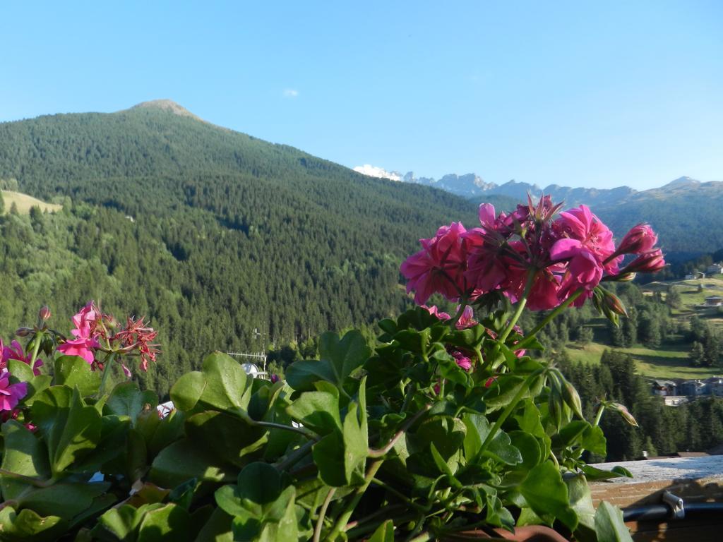 Apartmán Casa Elda Isolaccia Pokoj fotografie